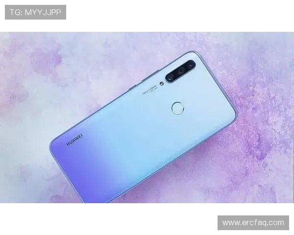 Z6网址娱乐最新资讯带你畅享精彩内容体验