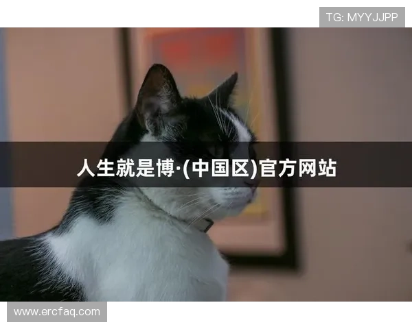 尊龙凯时d88：用户体验与客户服务的全面提升策略