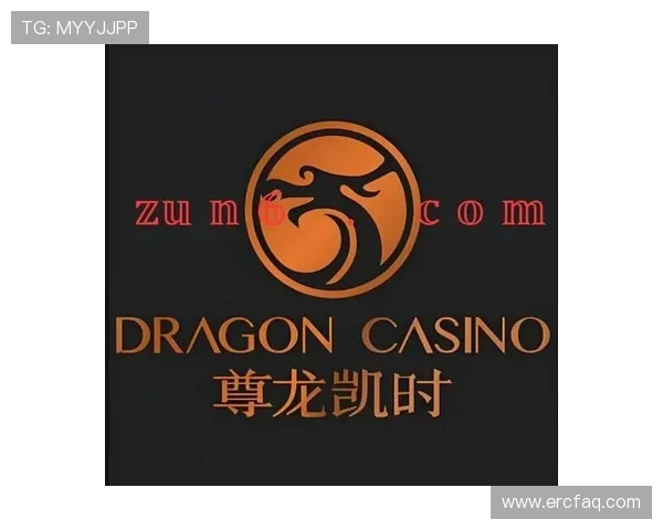 凯时尊龙客服提供安全保障措施保障玩家账号信息安全与游戏环境的公平公正